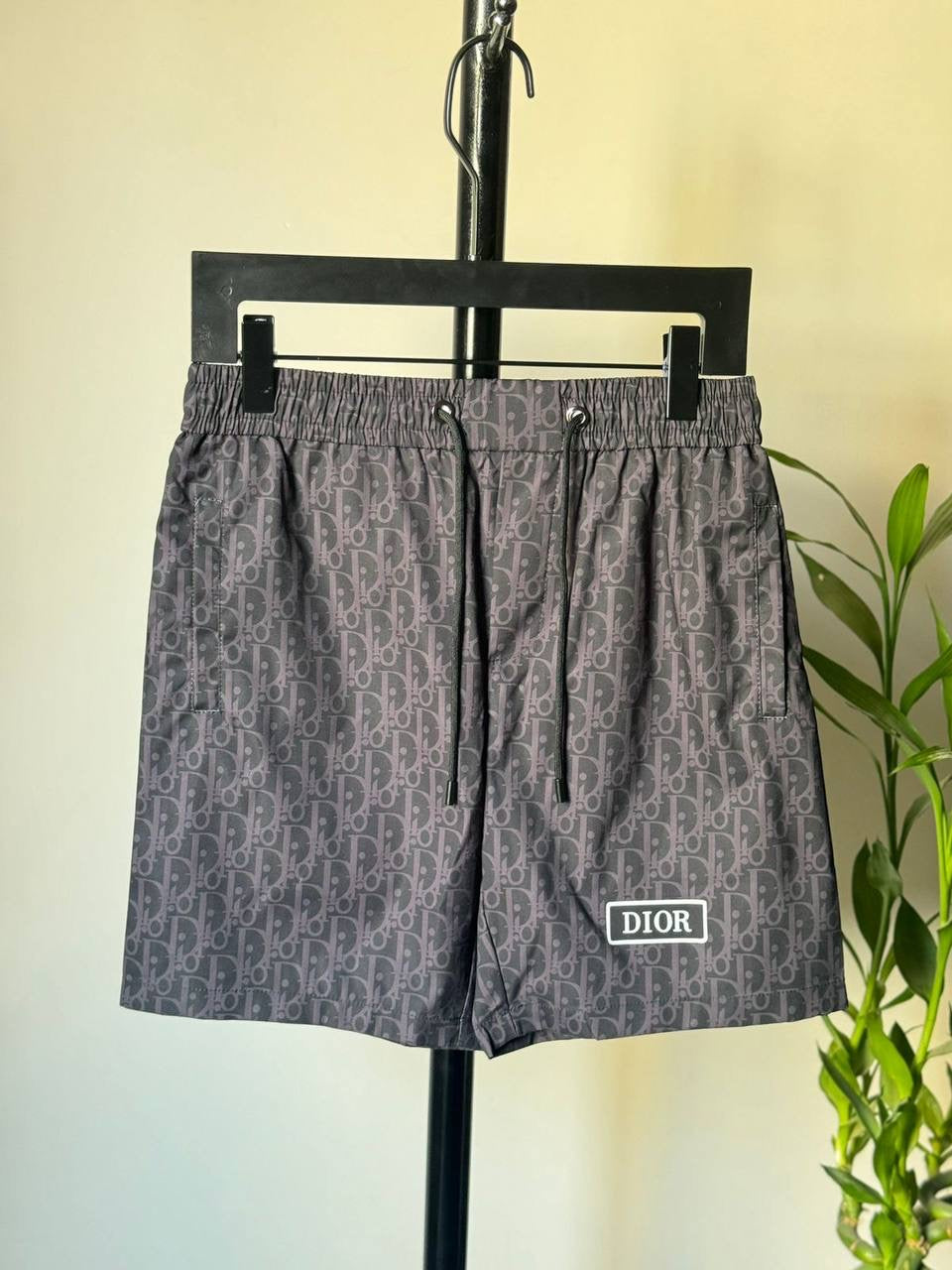 Dior Swimming Short 2 colors