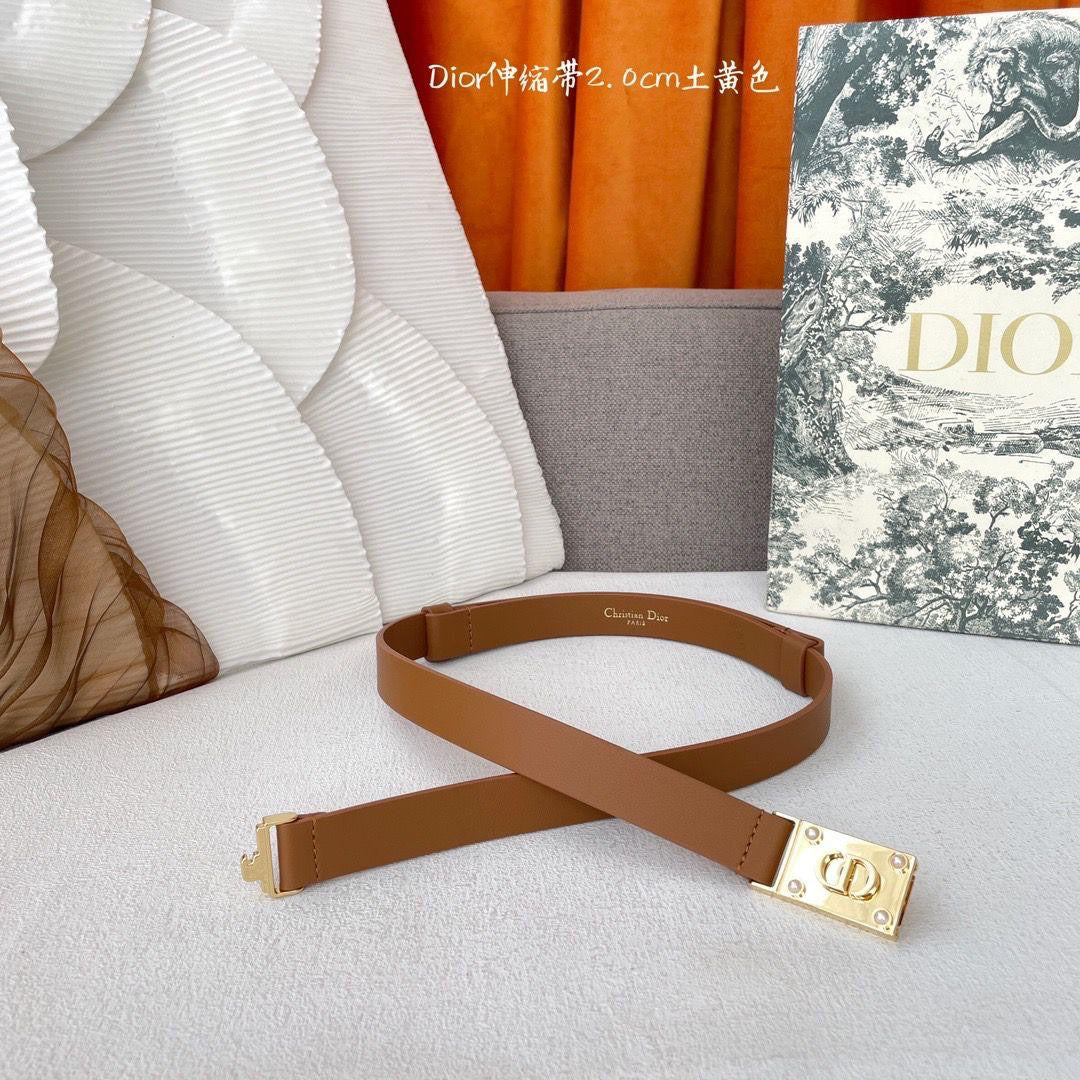 Dior Belts 4 colors