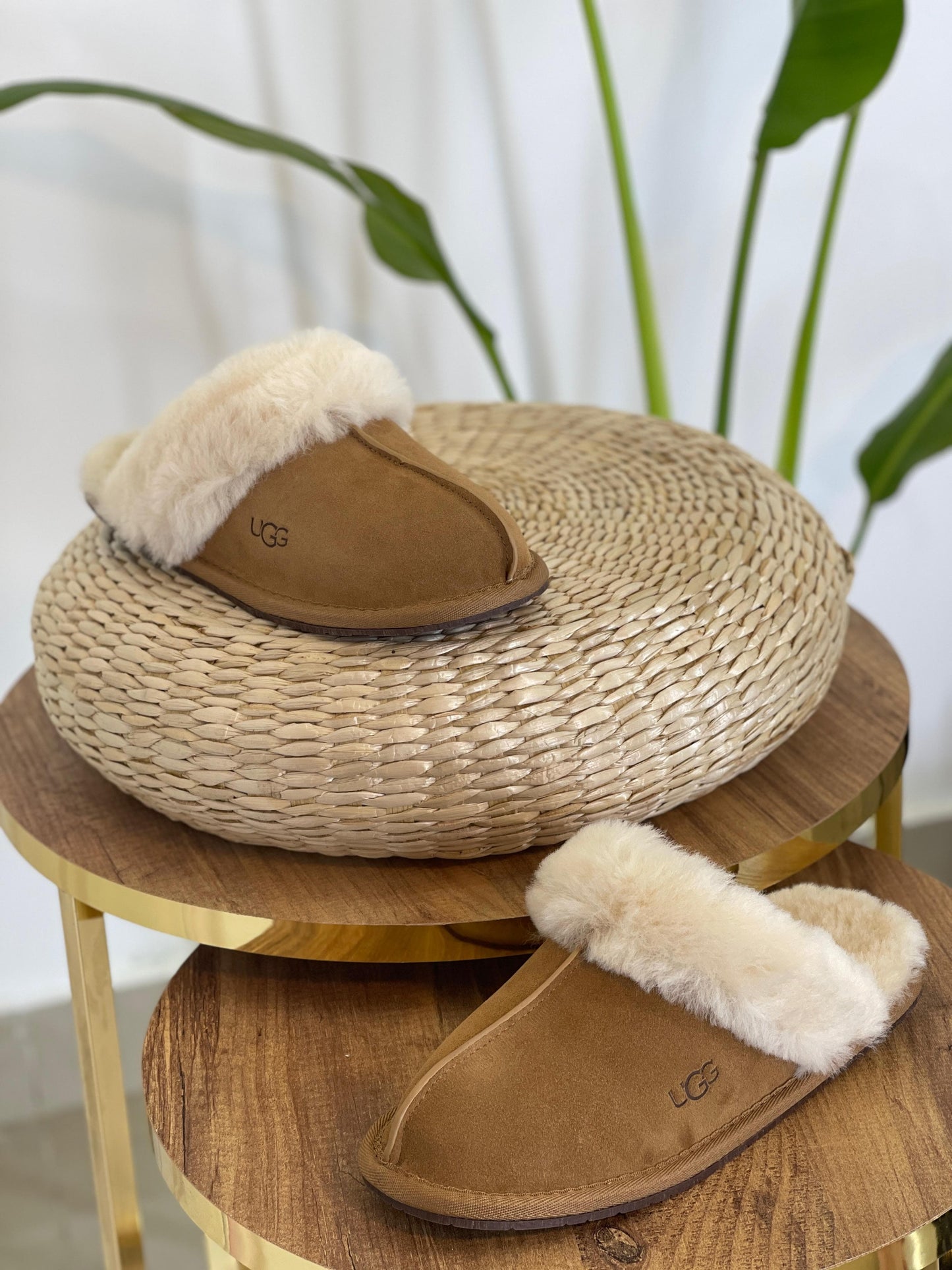 UGG Slippers