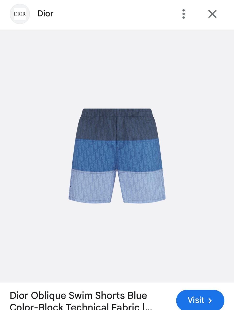 Louis Vuitton Swimming Shorts