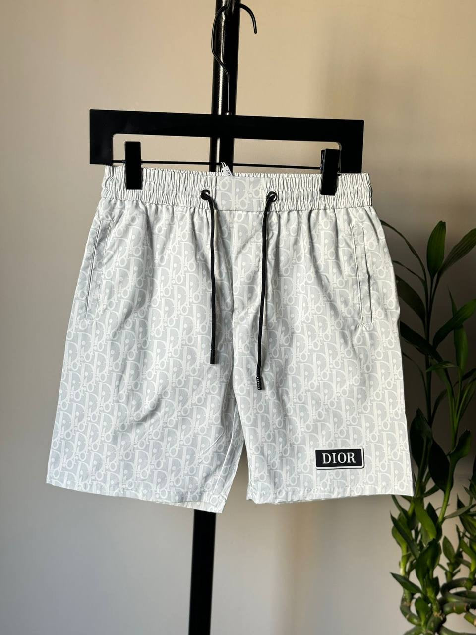 Dior Swimming Short 2 colors