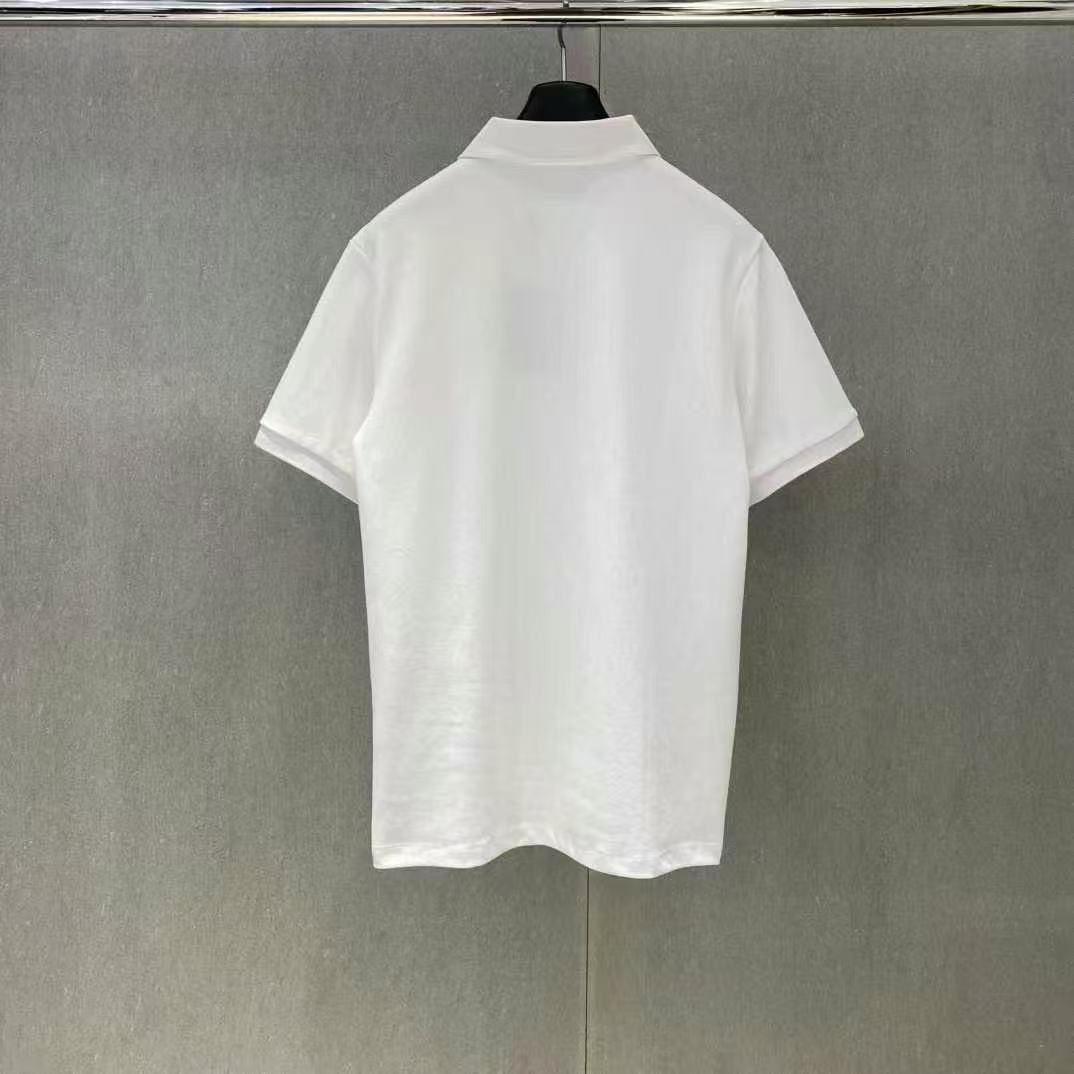 Louis Vuitton Polo Shirt 2 colors