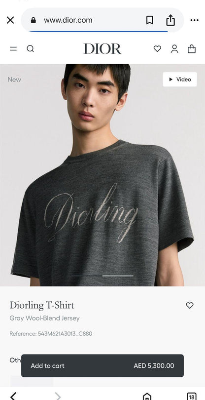Dior T-Shirt