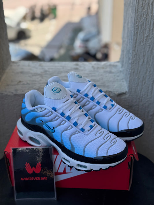 Nike Air Max TN Blue White