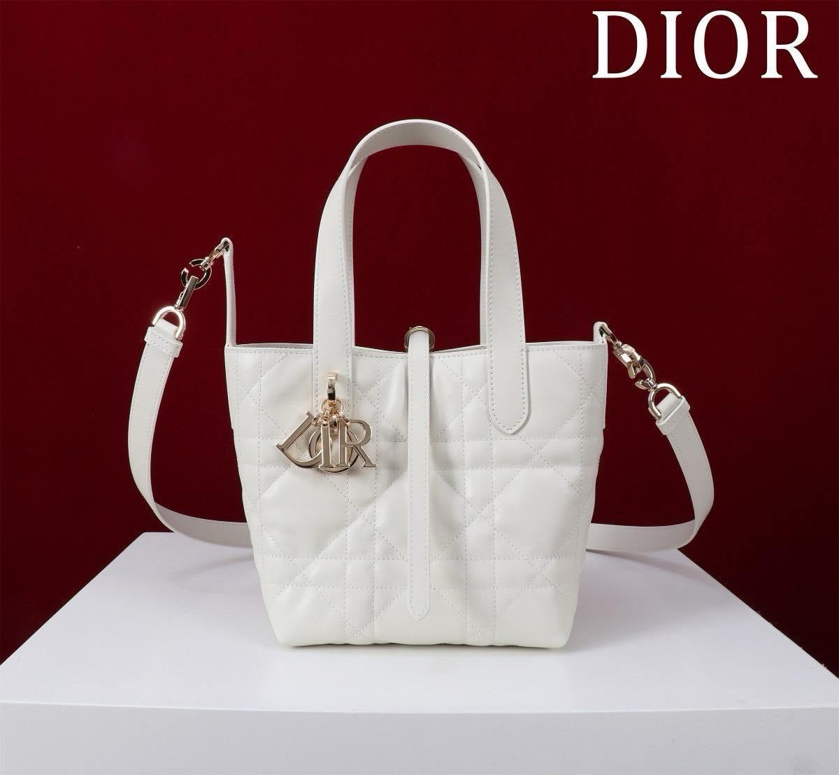 Dior Sling Bag (VIP Quality)