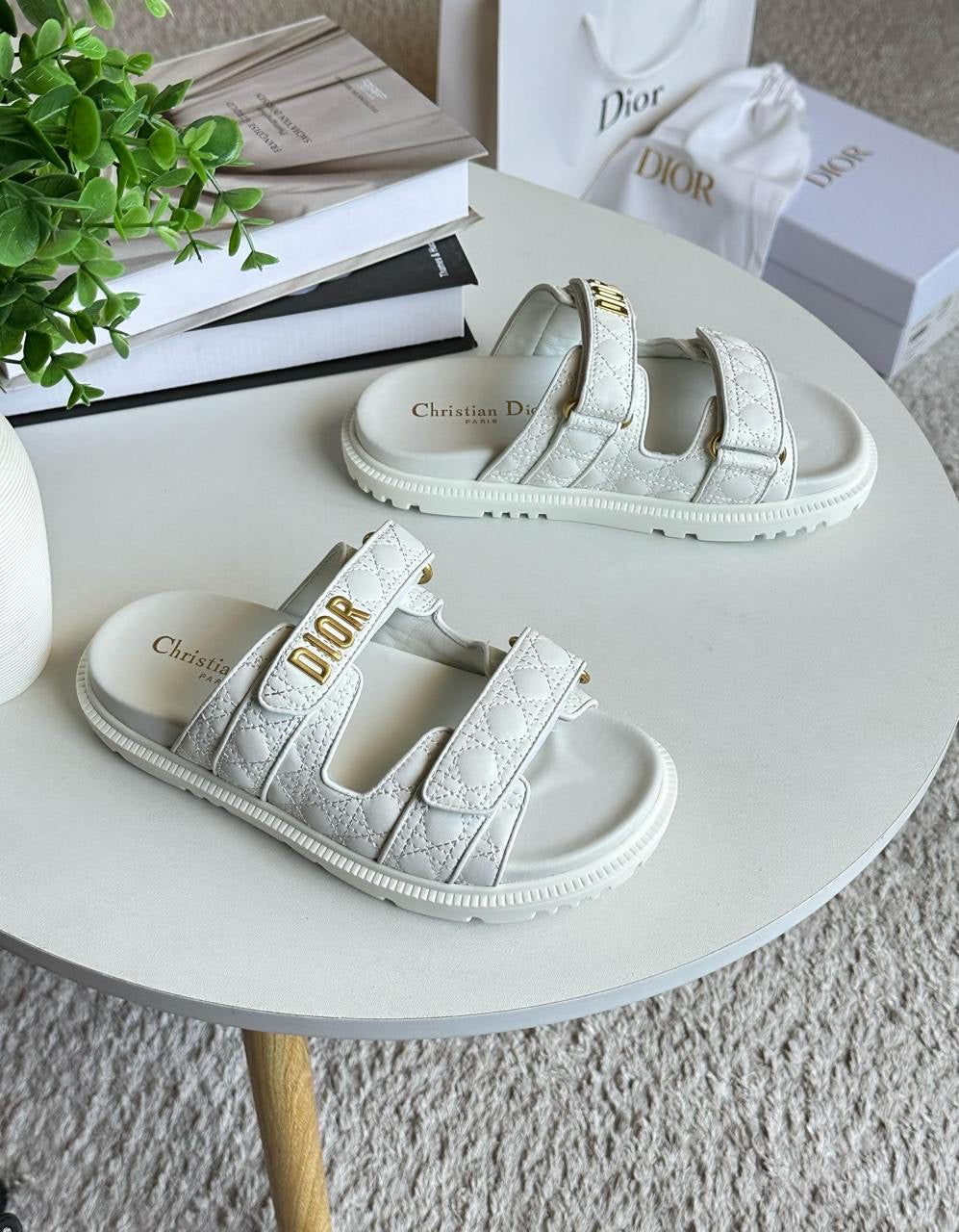 Dior Slipper 2 colors