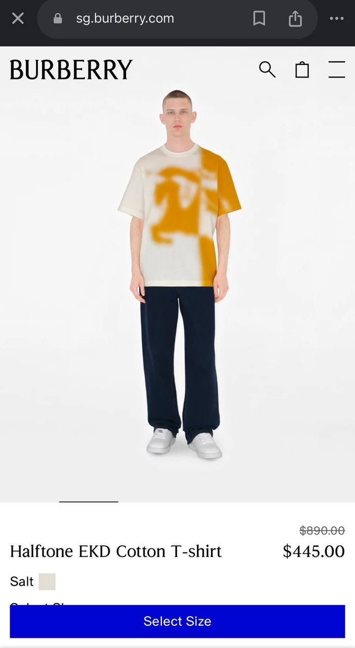 Burberry T-Shirts 2 colors