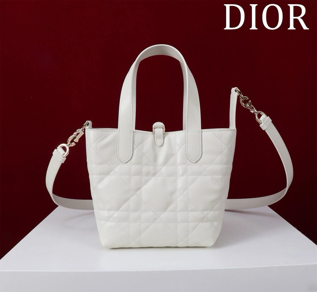 Dior Sling Bag (VIP Quality)
