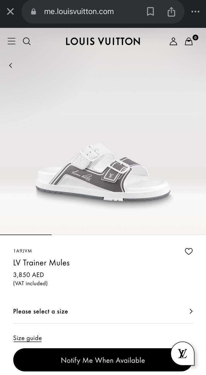 Louis Vuitton Slippers 3 colors