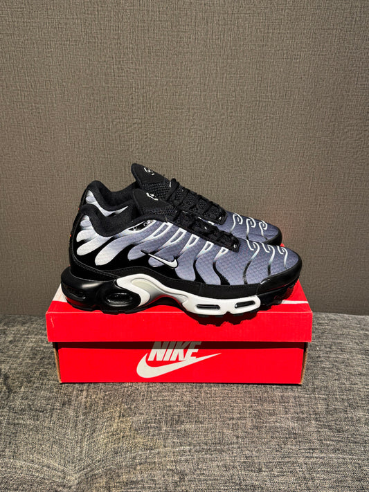 Nike Air Max TN Grey