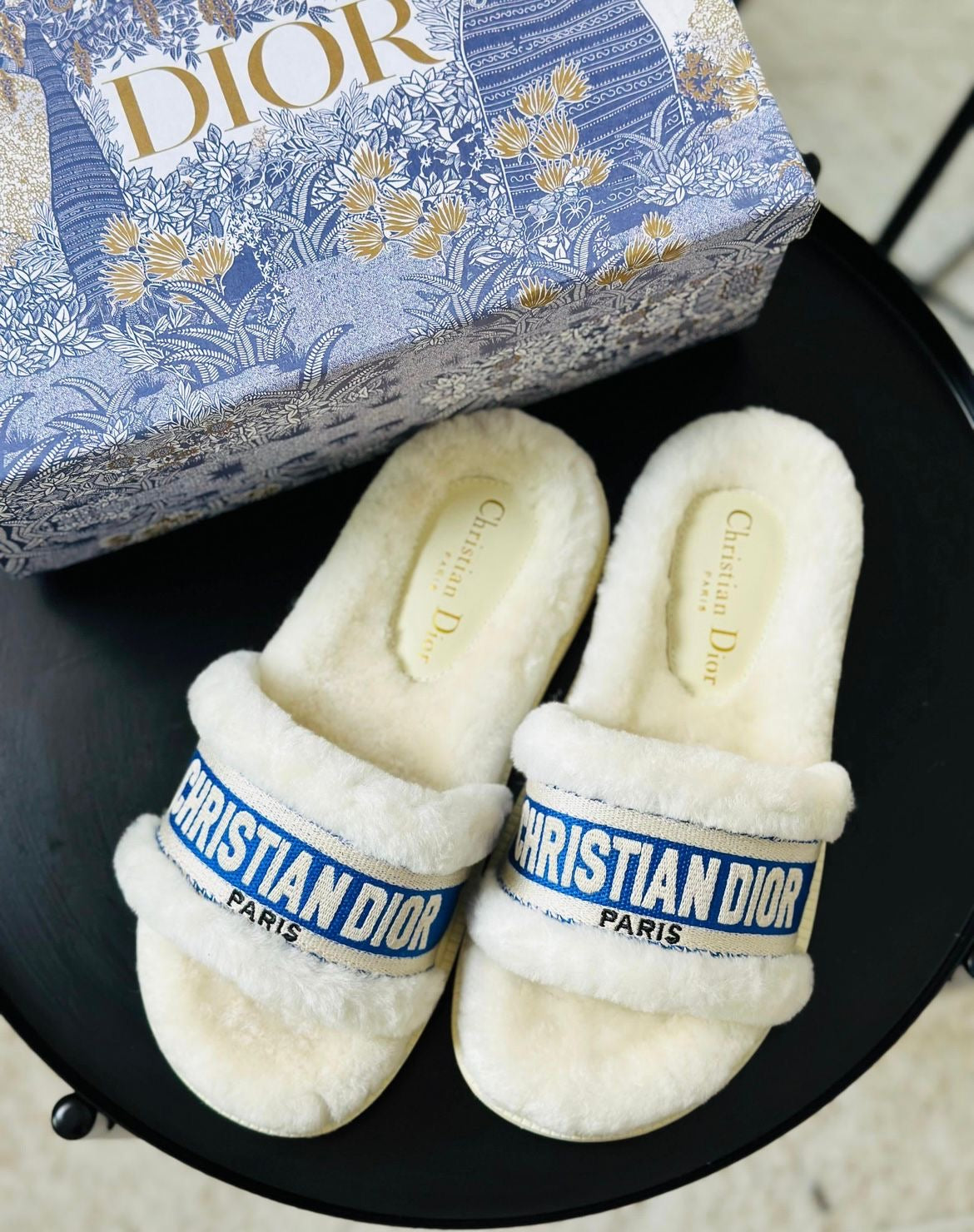 Dior Slippers 2 colors