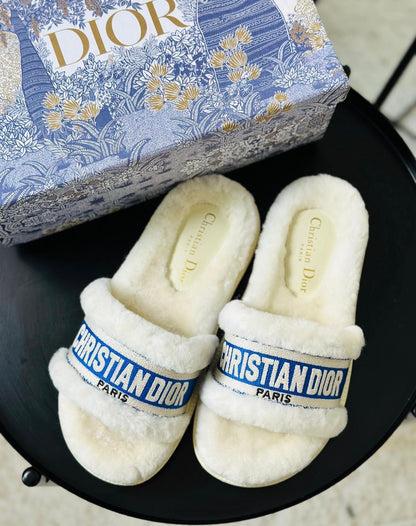 Dior Slippers 2 colors