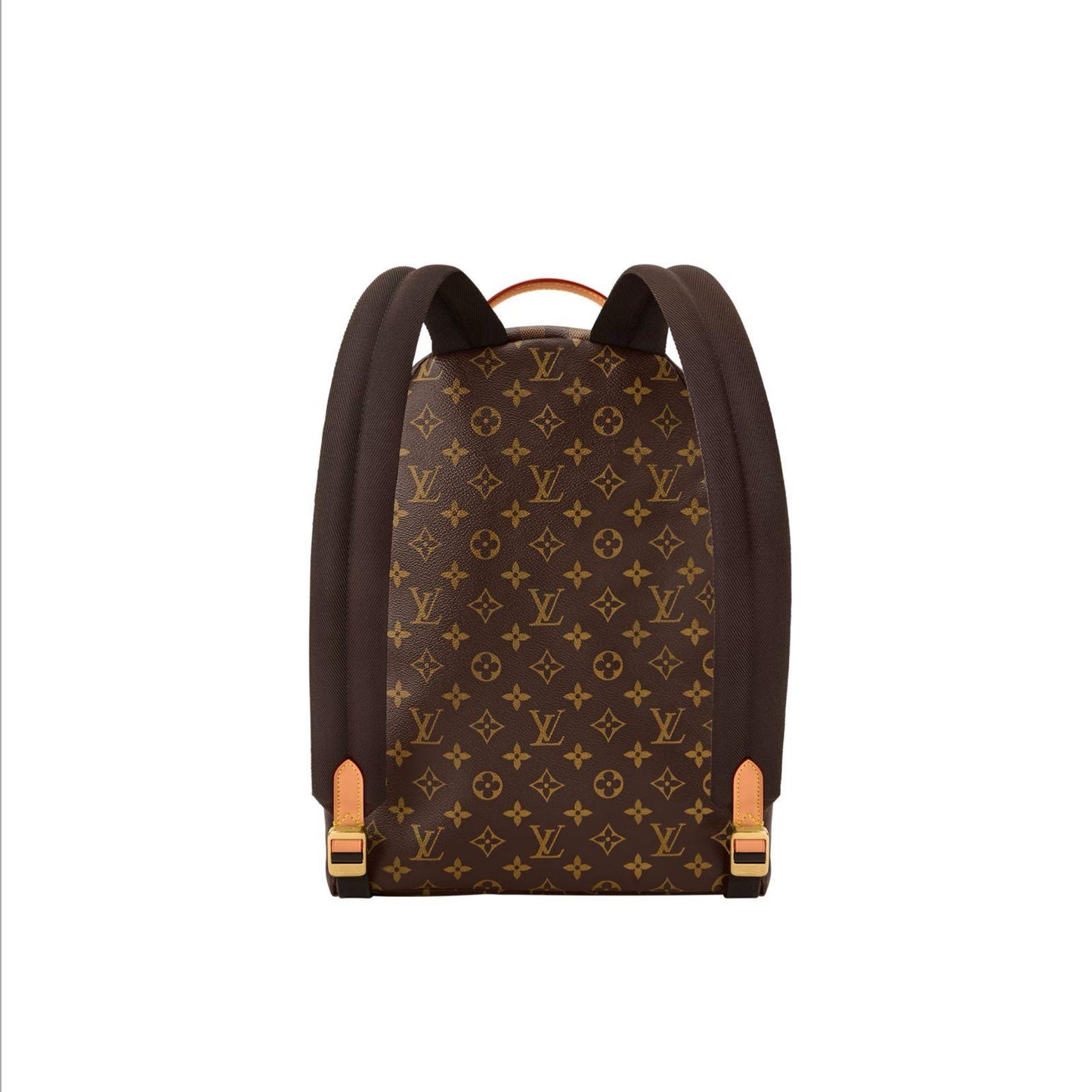 Louis Vuitton Backpack (VIP Quality)