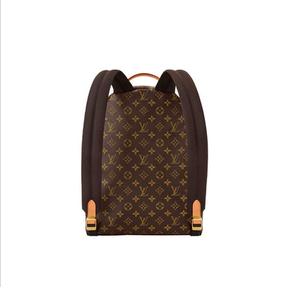 Louis Vuitton Backpack (VIP Quality)