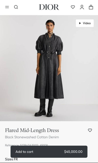 Dior Dress