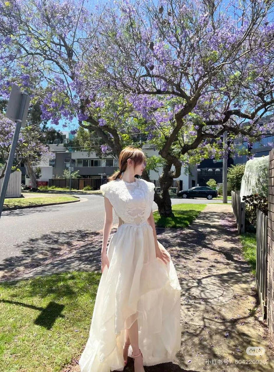 Zimmerman Dress