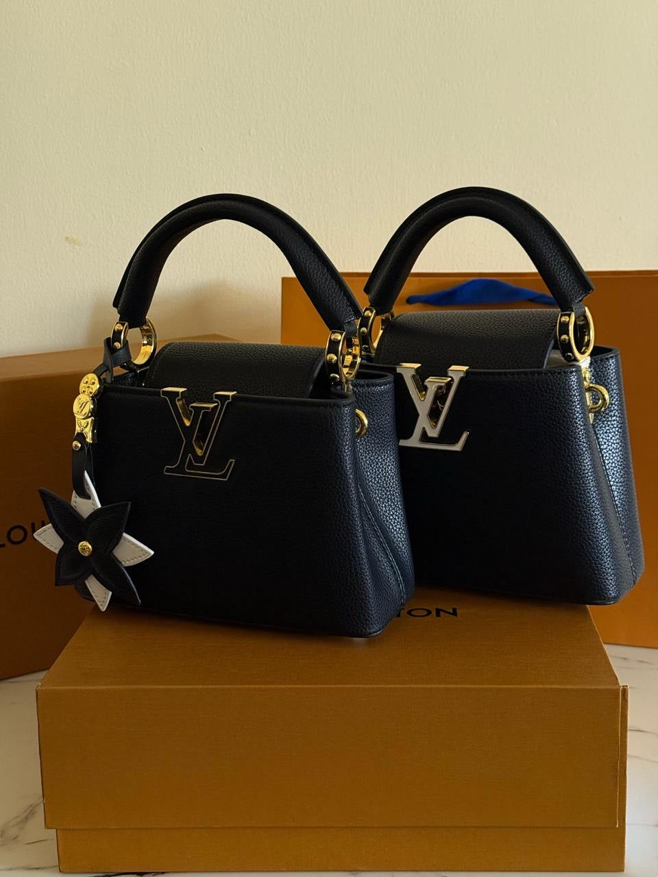 Louis Vuitton Hand Bag