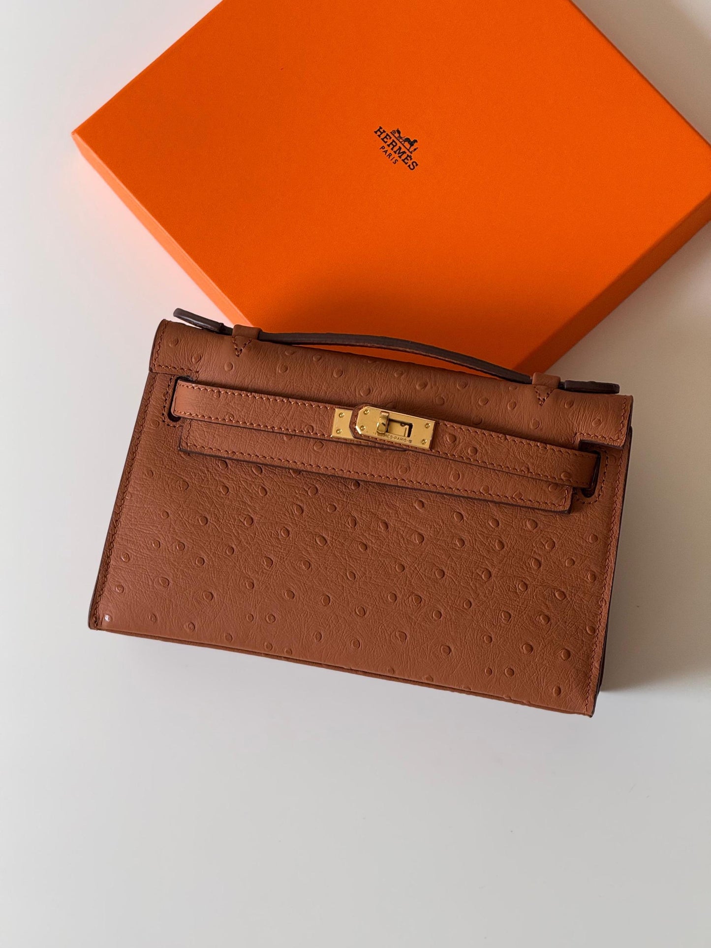 Hermes Pochette HandBag