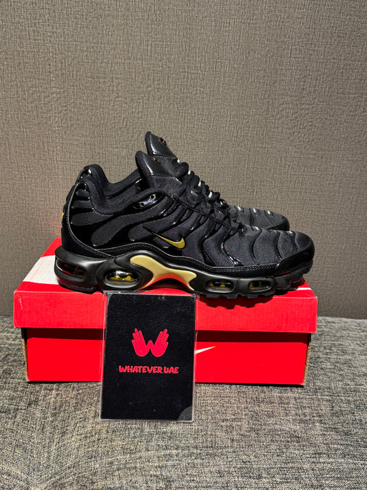 Nike Air Max plus TN