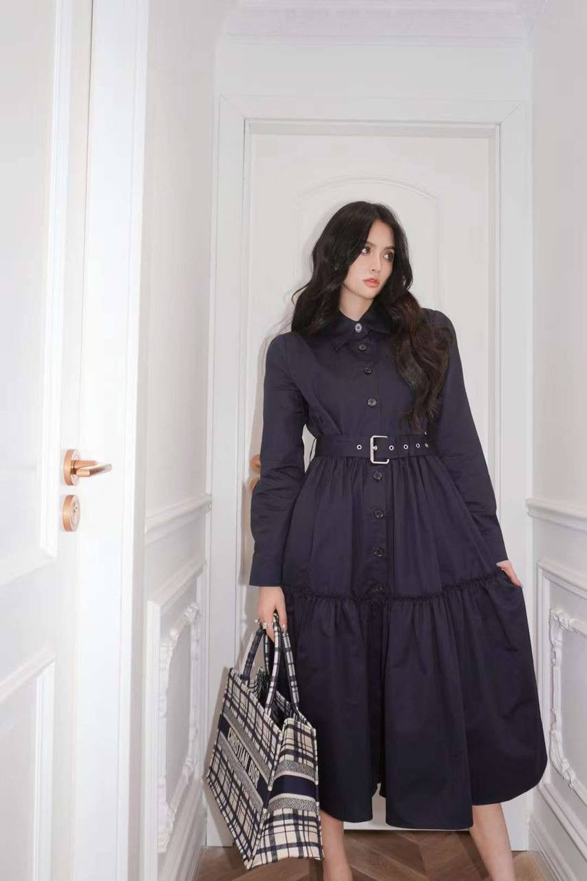 Dior Dress