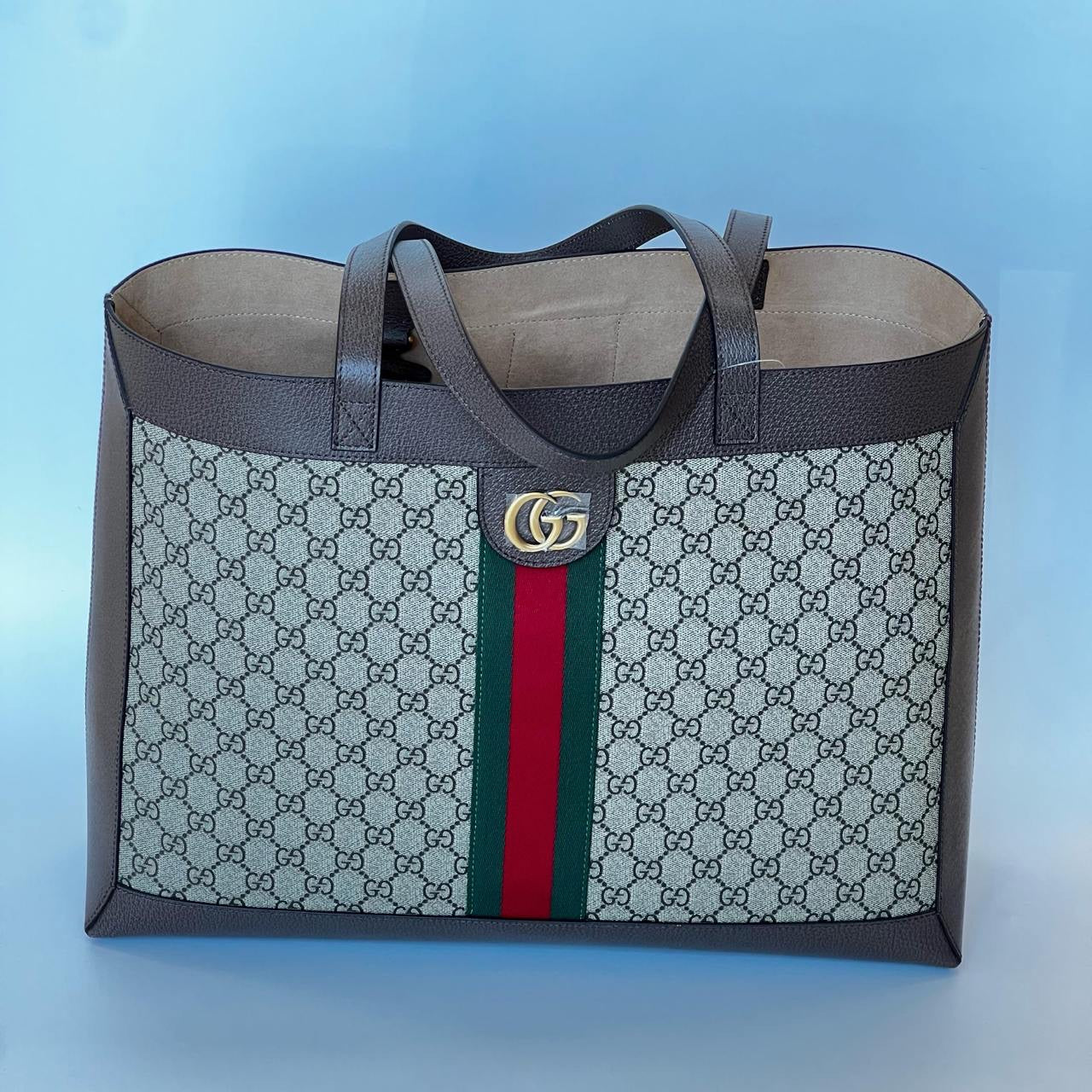 Gucci Tote Bag (VIP Quality)