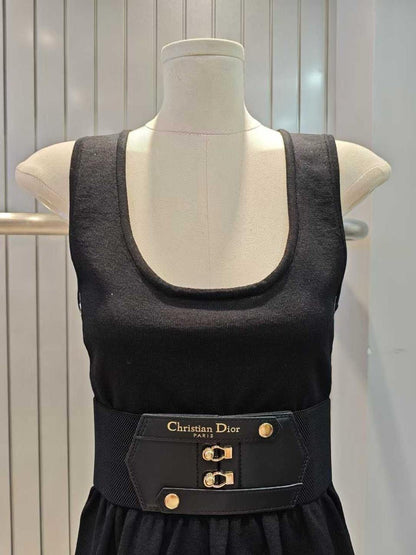 Dior Dress