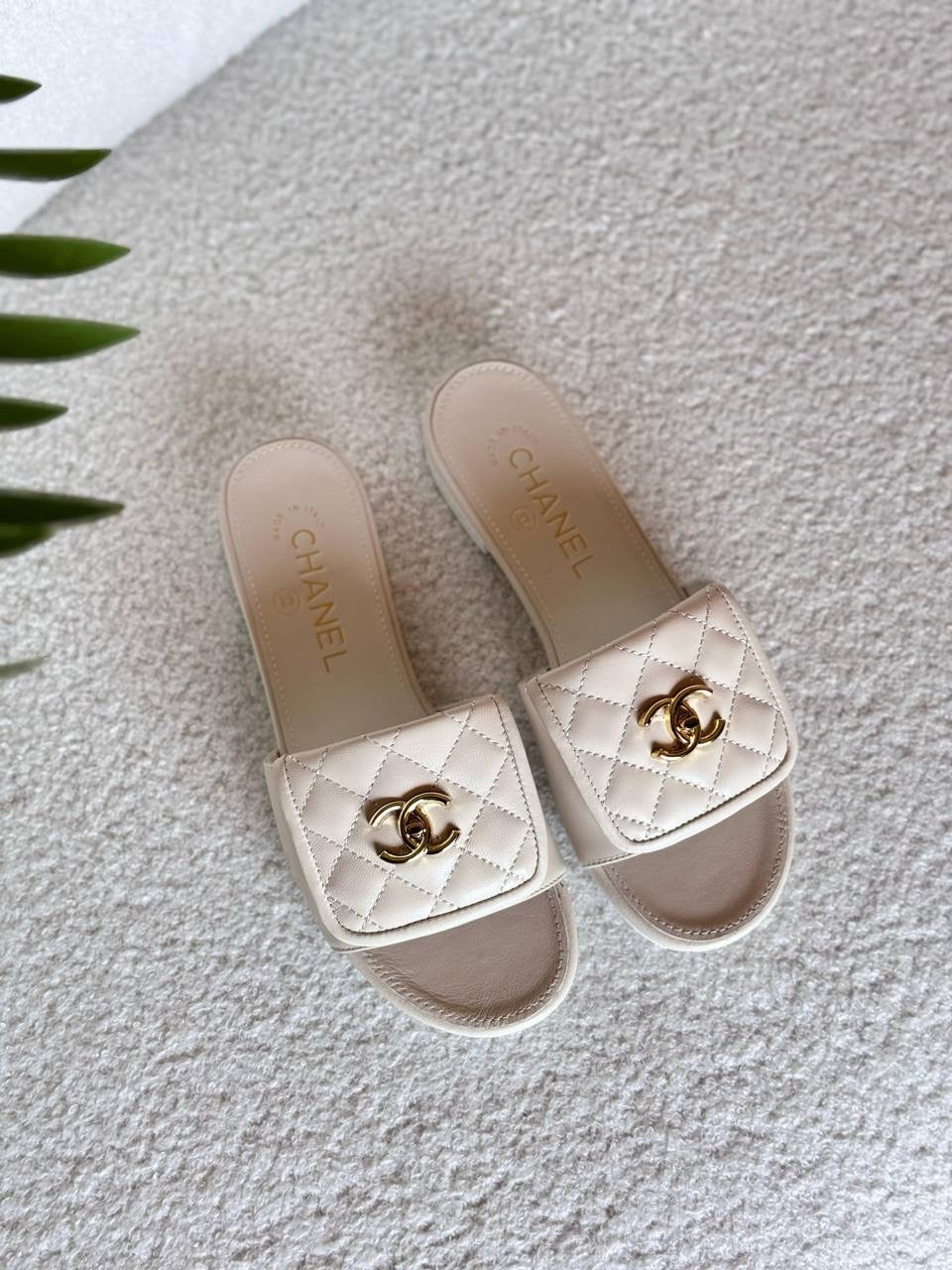 Chanel Slipper