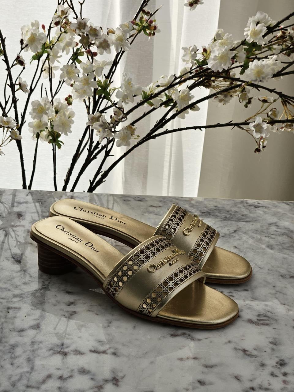 Dior Heels