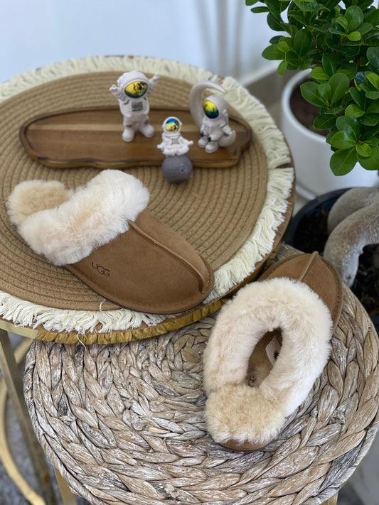 UGG Slippers