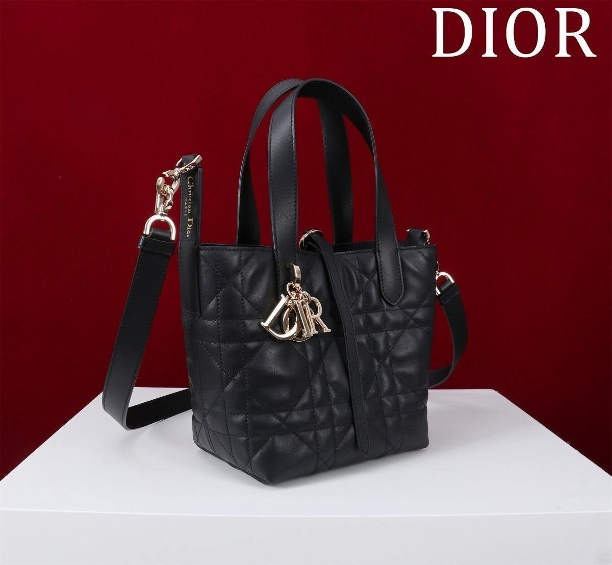 Dior Sling Bag (VIP Quality)