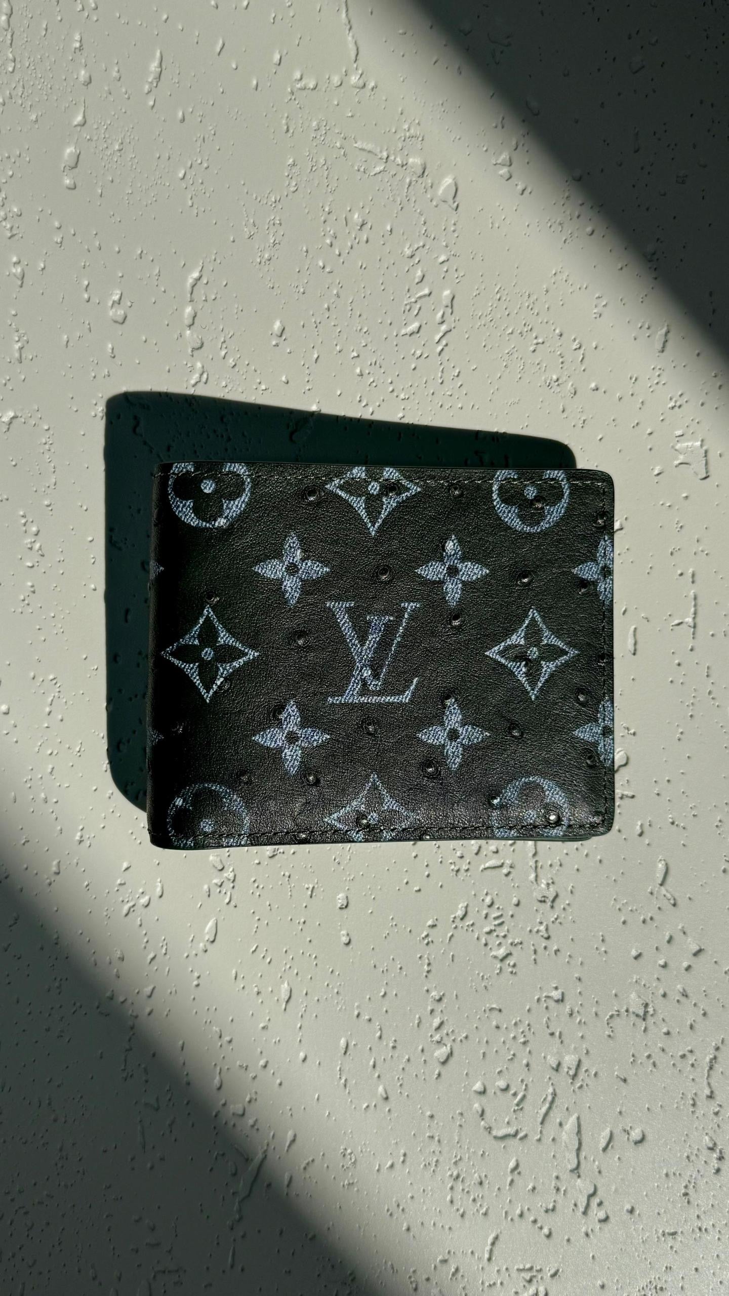 Louis Vuitton Wallets