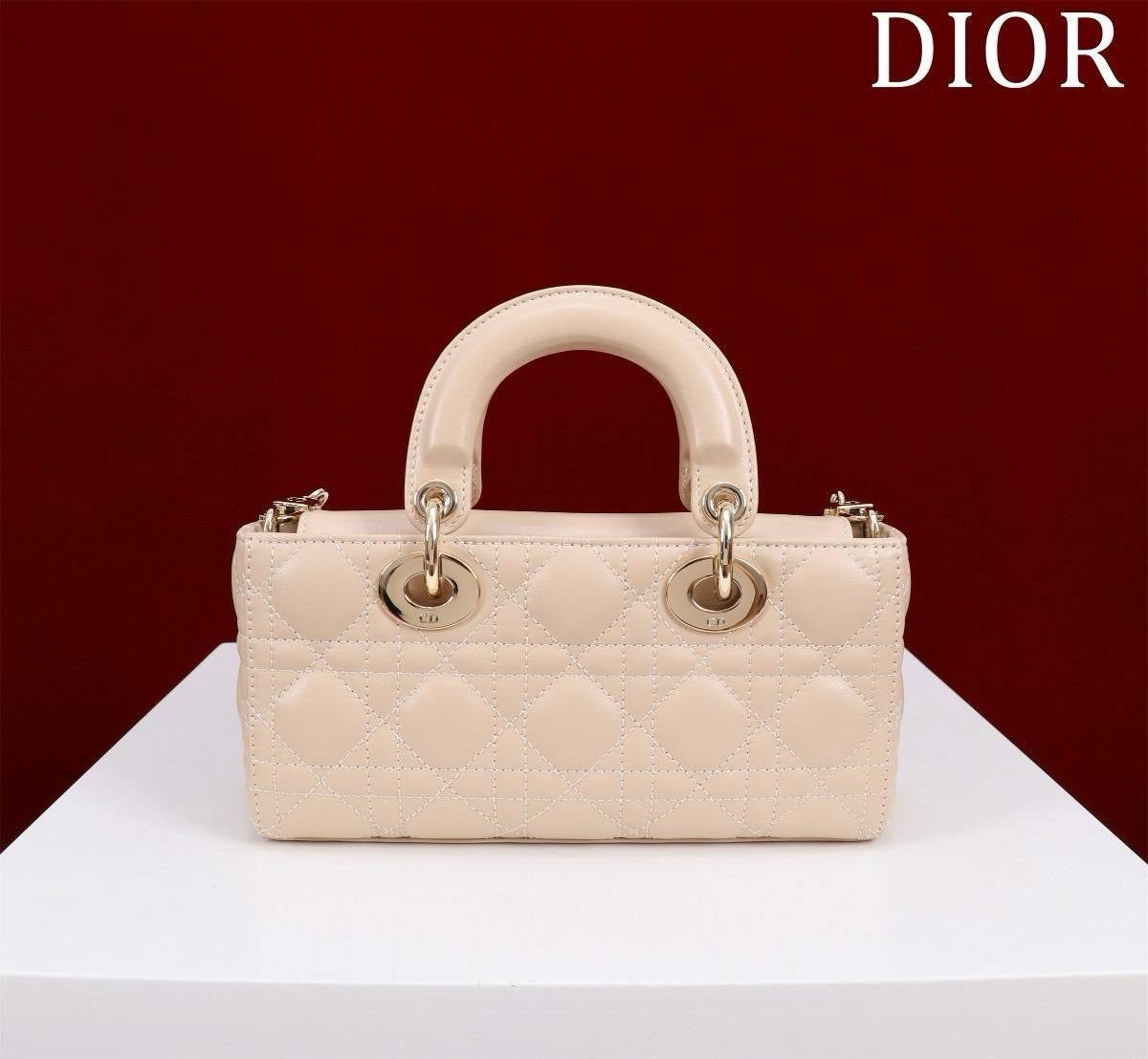 Dior Sling Bag (VIP Quality)