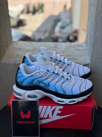 Nike Air Max TN Blue White
