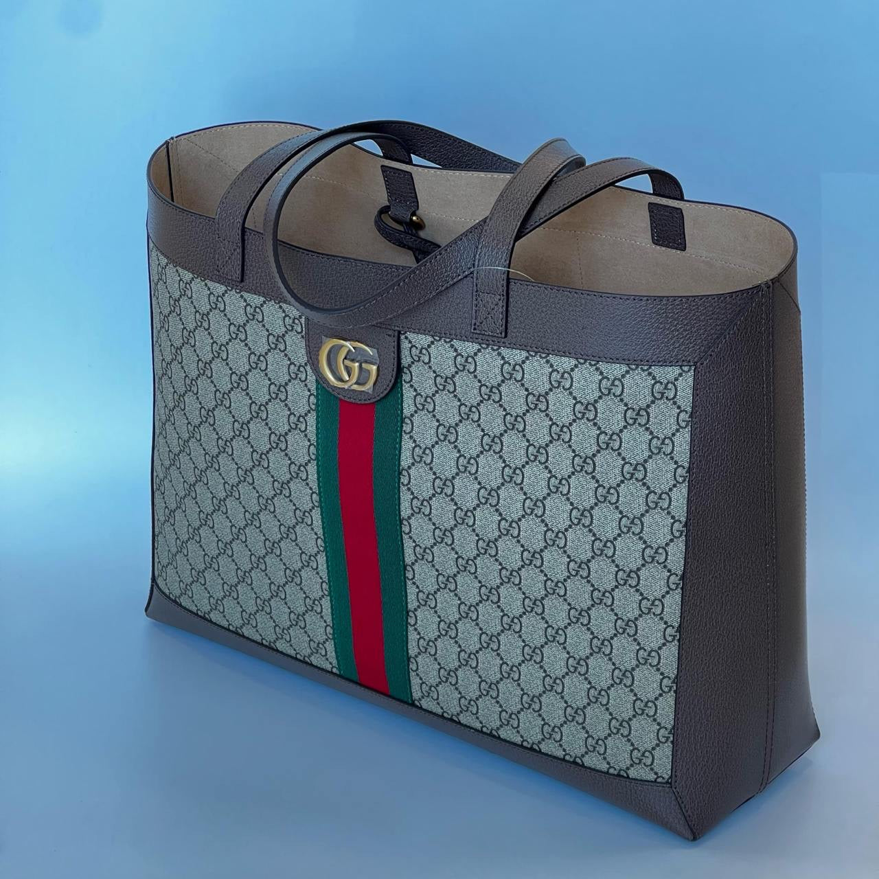 Gucci Tote Bag (VIP Quality)