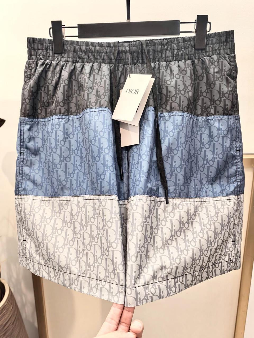 Dior Swimming Shorts