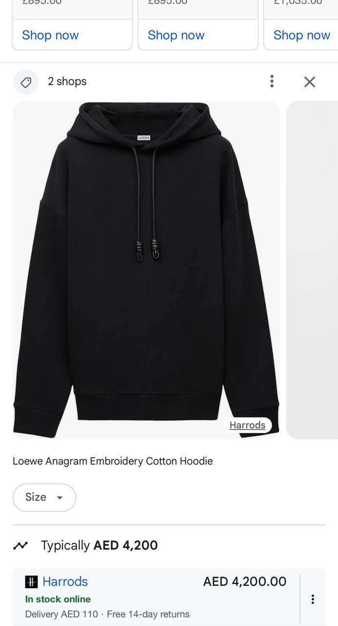 Loewe Hoodie