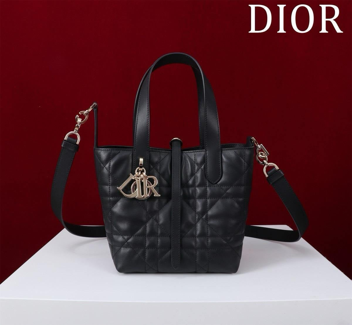 Dior Sling Bag (VIP Quality)