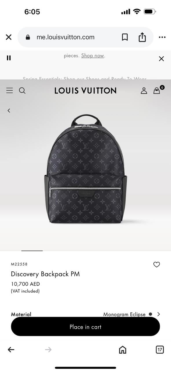 Louis Vuitton Backpack (VIP Quality)