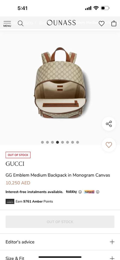 Gucci Backpack (VIP Quality)