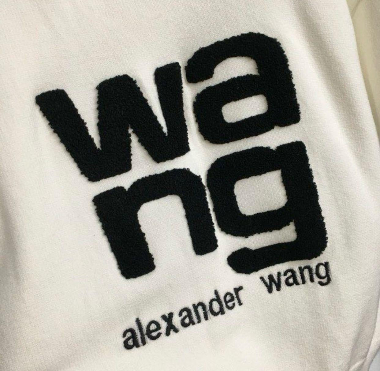 Alexander Wang Sweaters