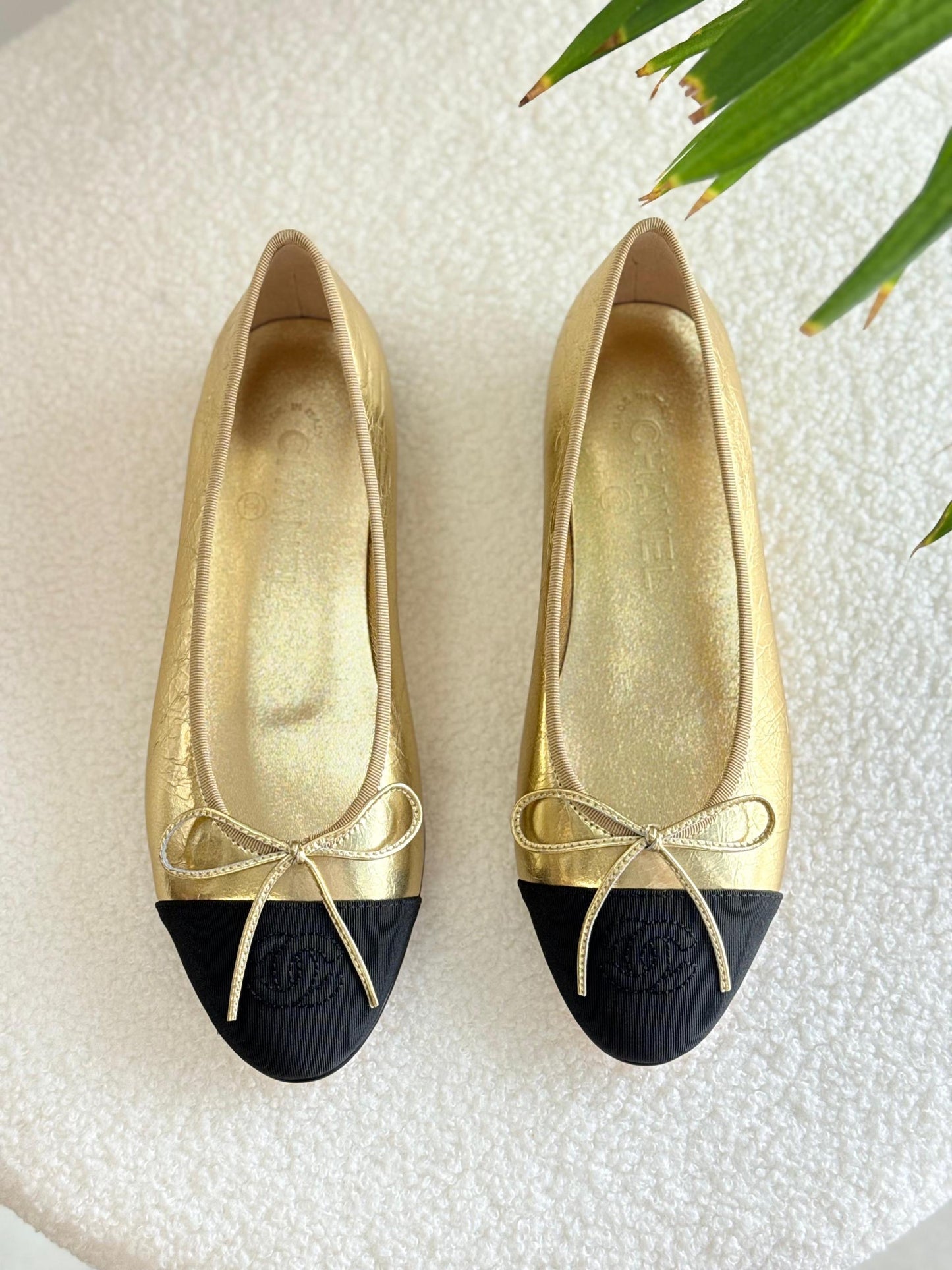 Chanel Ballerina 8 colors