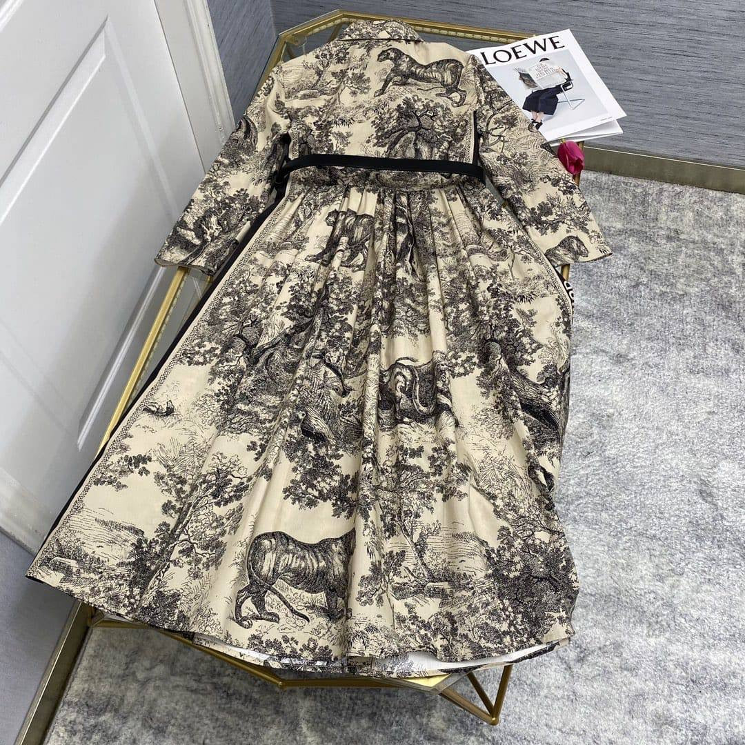 Dior Dress