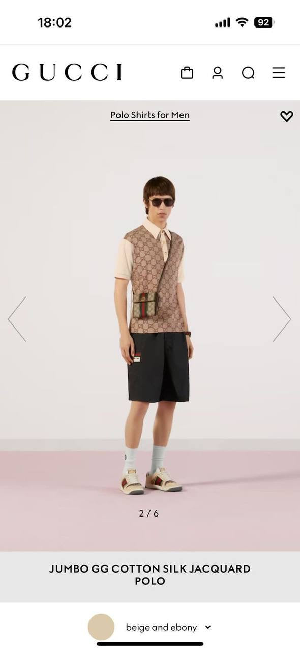 Gucci Polo Shirt 2 colors