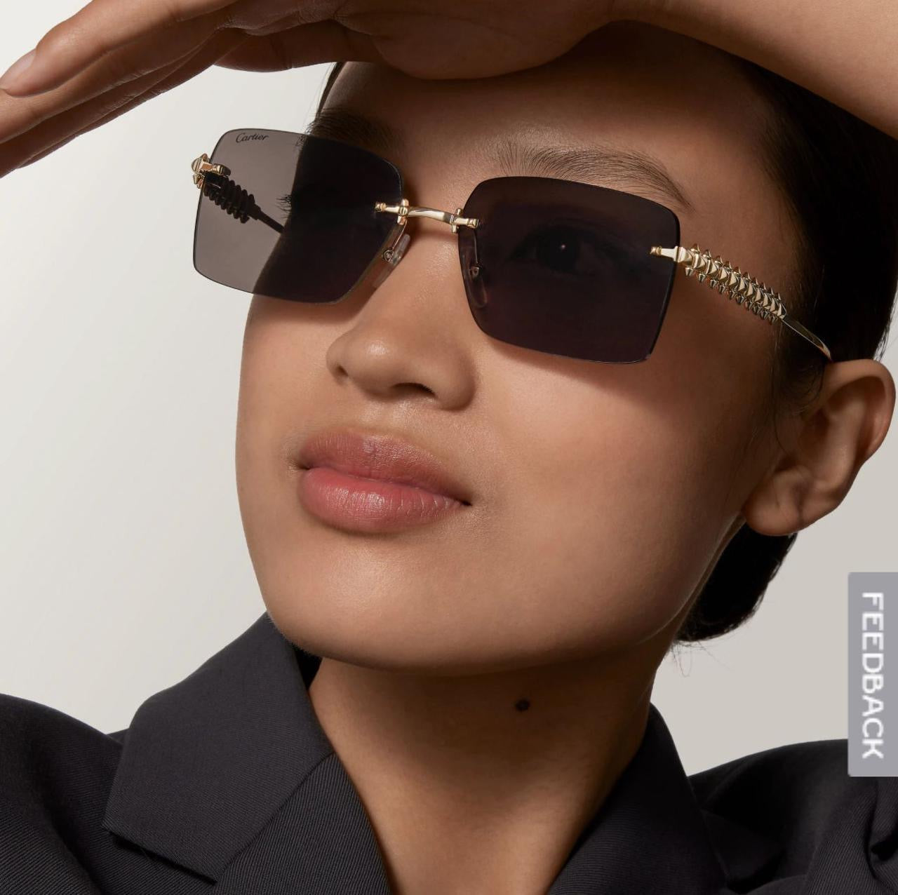 Cartier Sunglasses 2 colors