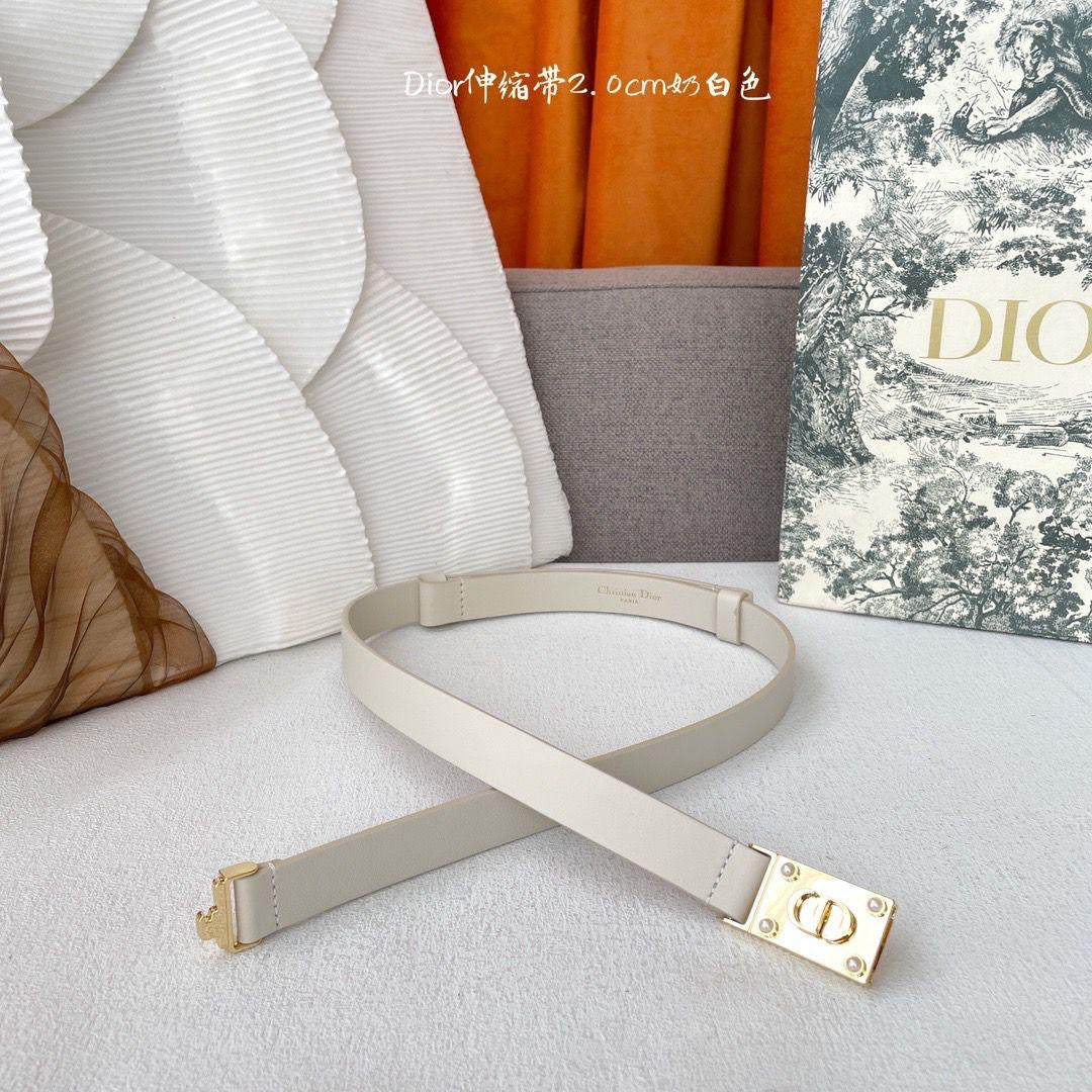 Dior Belts 4 colors