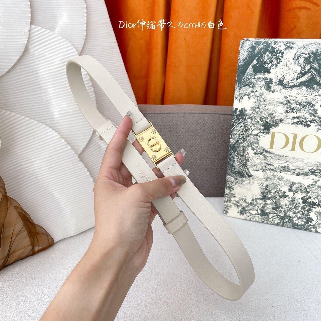 Dior Belts 4 colors