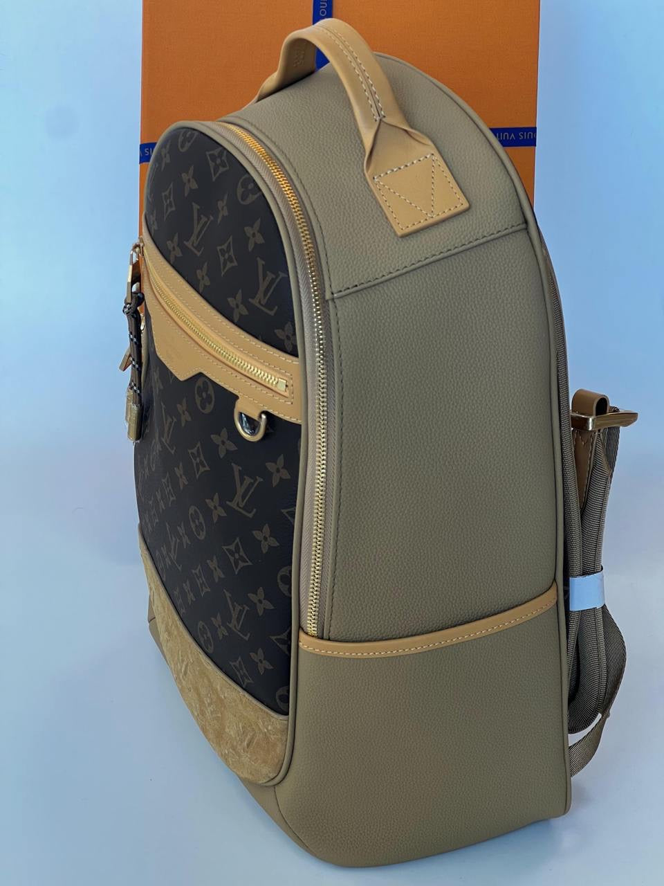 Louis Vuitton Backpack (VIP Quality)