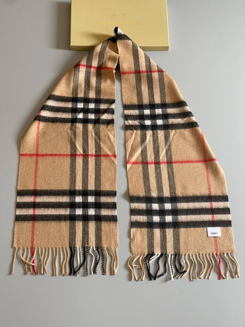 Burberry Unisex Scarf 2 colors