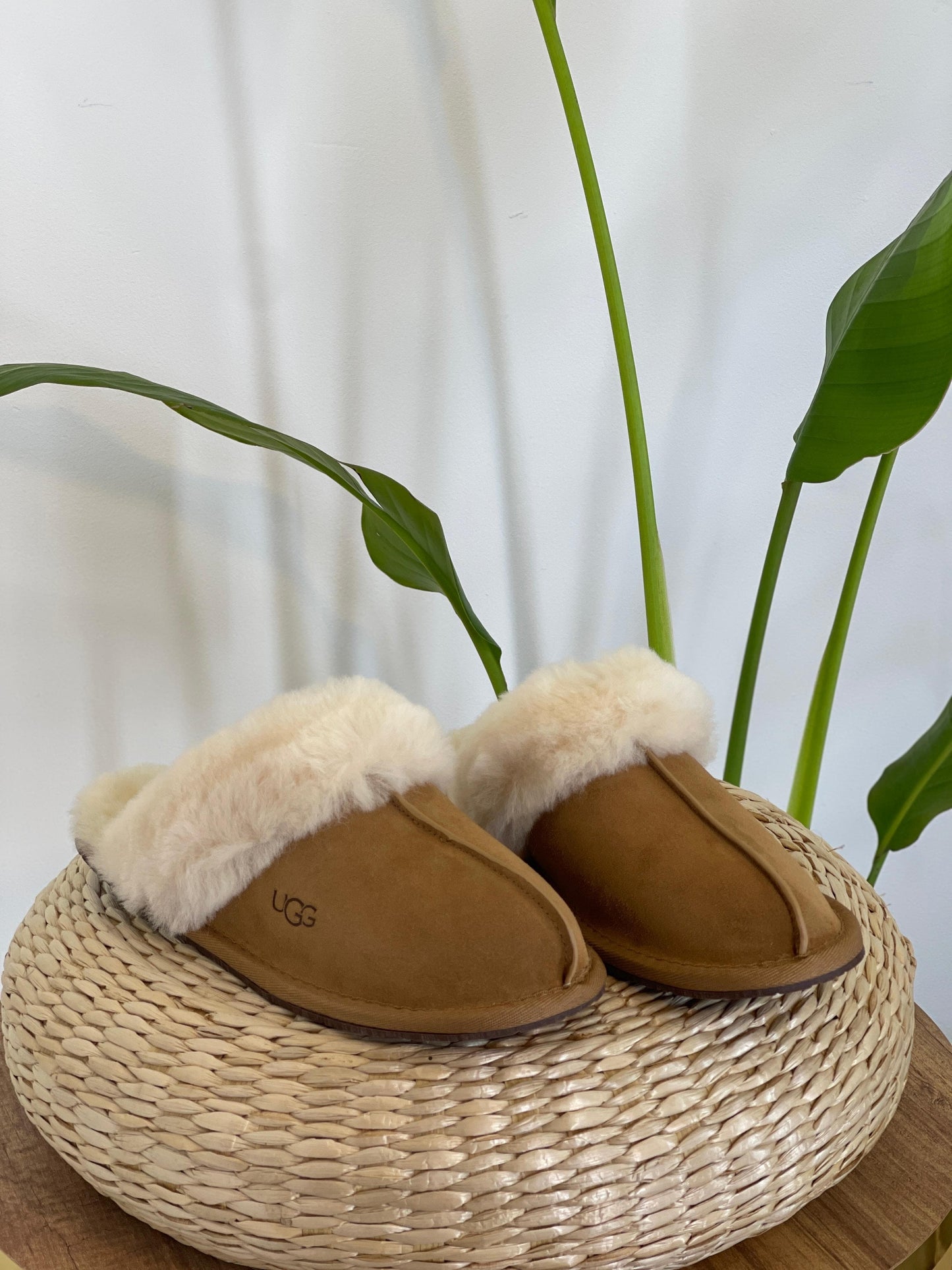 UGG Slippers