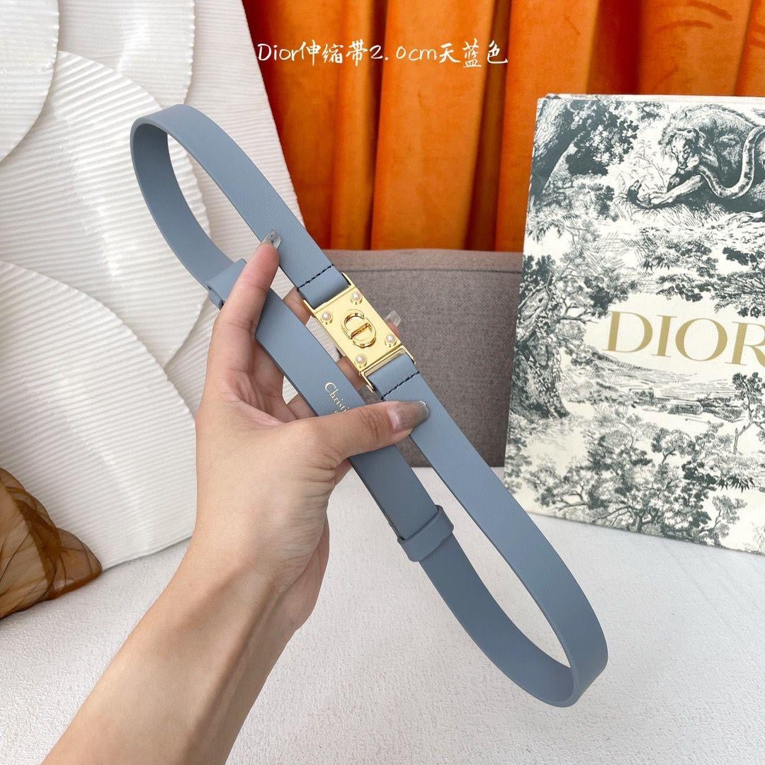 Dior Belts 4 colors